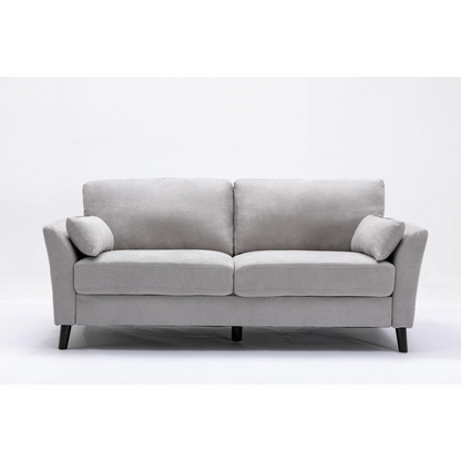 Damian Light Gray Velvet Fabric Sofa