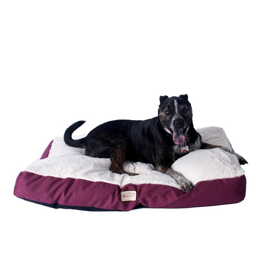 Large Pet Bed Mat with Poly Fill Cushion in Ivory & Burgundy